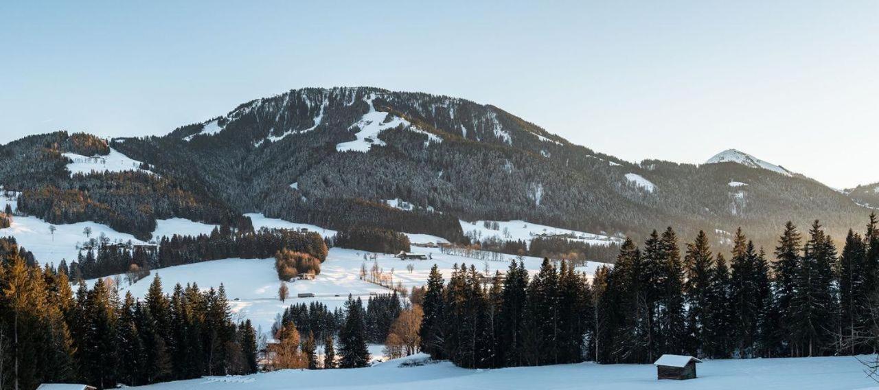 Ferienwohnung Bergliebe Scheffau am Wilden Kaiser Exteriör bild
